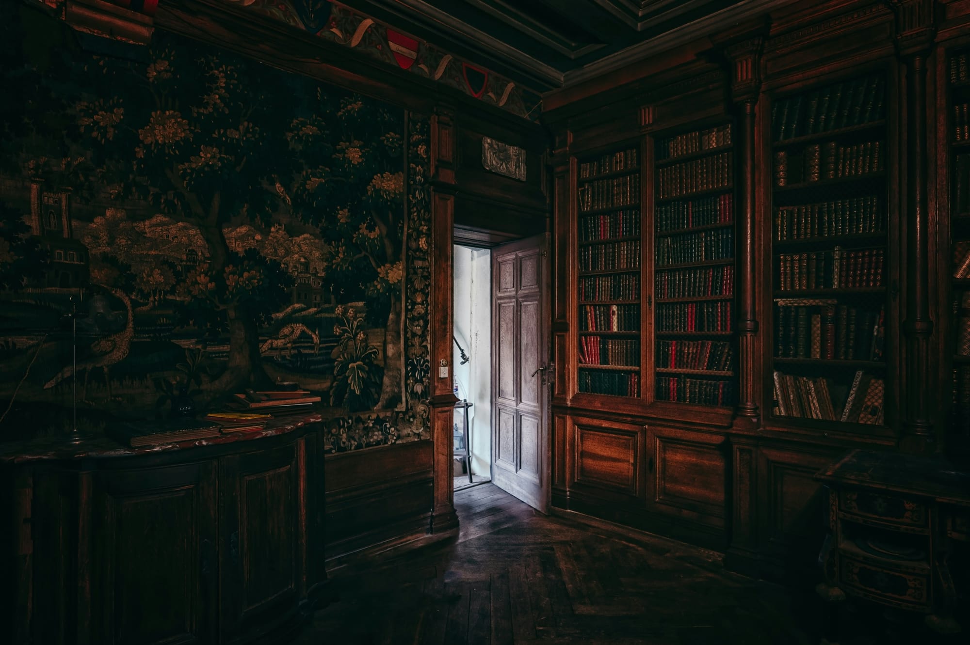A dark library room with bookshelves and an open door letting bright light spill in