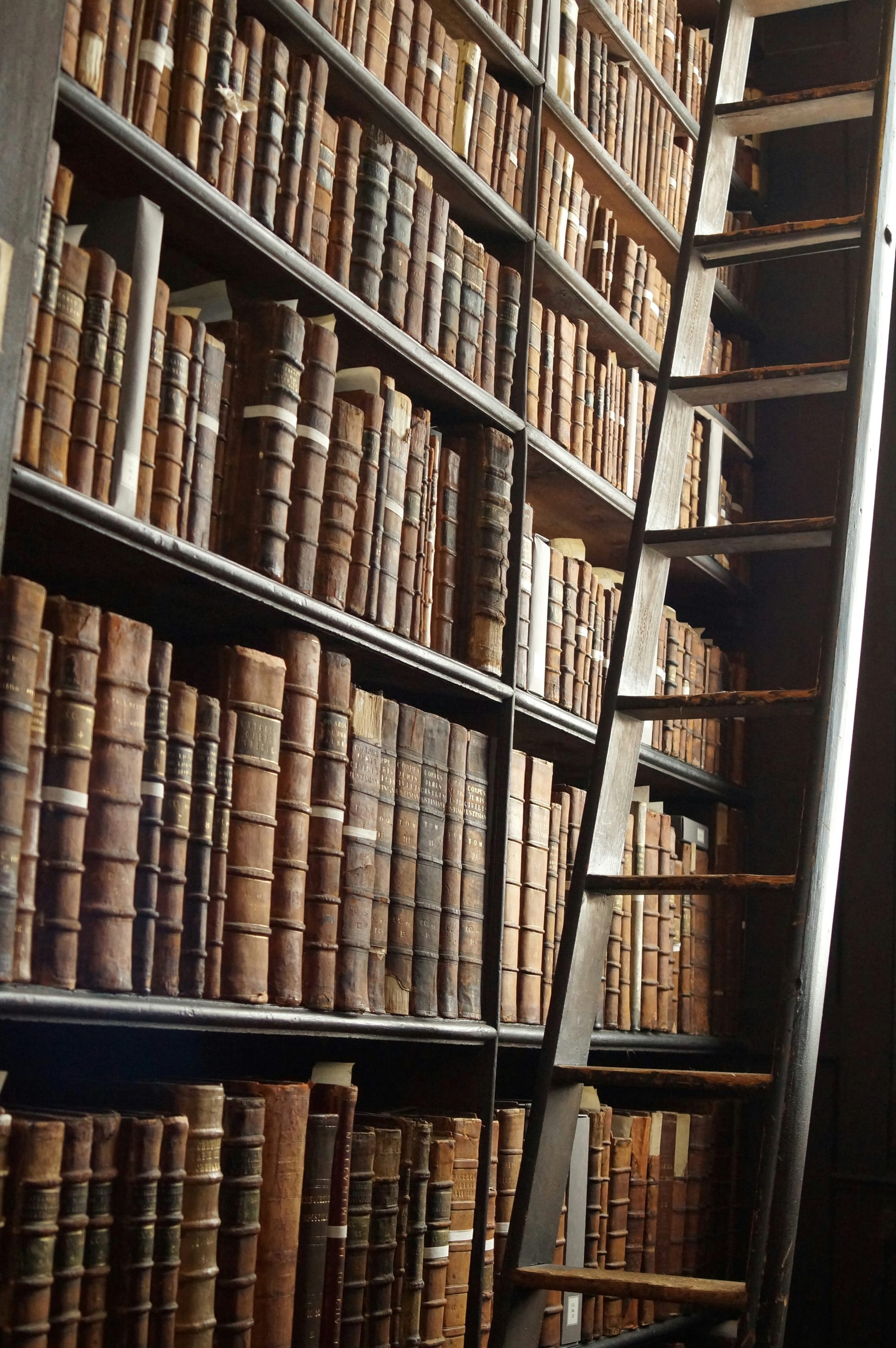 A dark library with tall bookshelves and a wooden ladder reaching toward the upper shelves