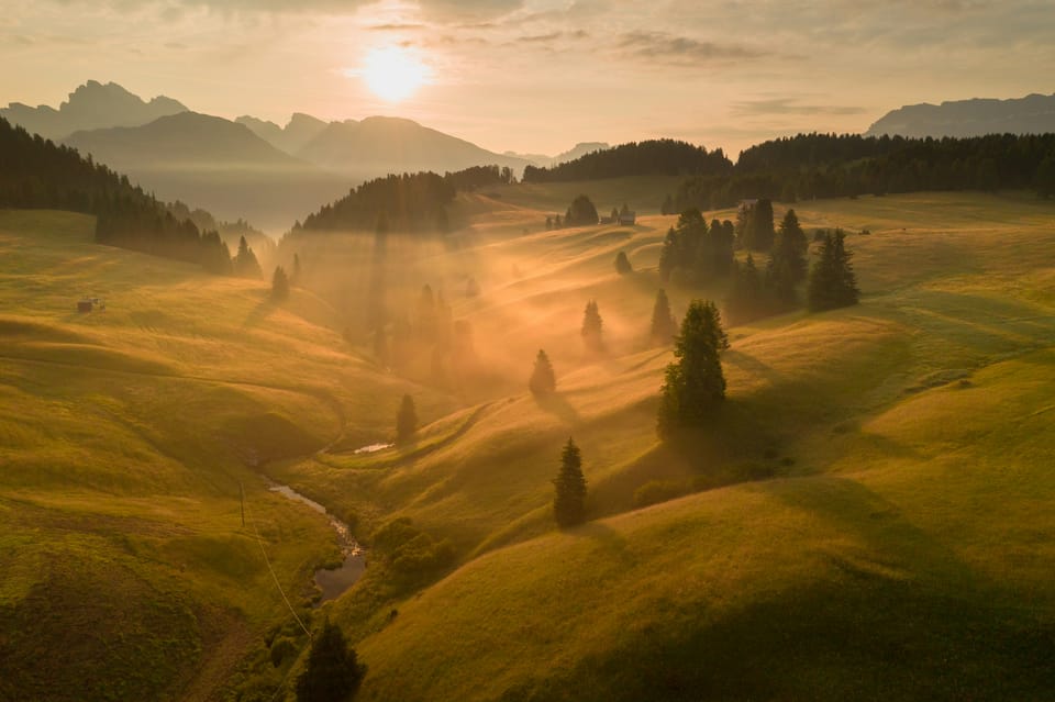 Sunrise over an alpine meadow with mist flowing through rolling green hills and scattered pine trees, distant mountain peaks silhouetted against a golden sky